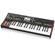 Behringer DeepMind 6: Picture 5 thumbnail
