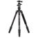 Benro Travel Angel Tripod Kit: Picture 1 thumbnail