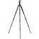 Benro Travel Angel Tripod Kit: Picture 2 thumbnail
