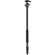 Benro Travel Angel Tripod Kit: Picture 4 thumbnail