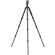 Benro Travel Angel Tripod Kit: Picture 2 thumbnail