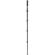 Benro AL Monopod Kit: Picture 2 thumbnail
