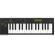 Behringer SWING: Picture 1 thumbnail