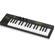 Behringer SWING: Picture 4 thumbnail