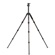 Benro Mach3 9X CF Tripod: Picture 3 thumbnail