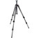 Manfrotto 190CX3: Picture 1 thumbnail