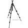 Manfrotto 190CXPRO4 4 Section Carbon Fiber Pro Tripod Legs Kit, with Vanguard GH-100 Grip Head: Picture 1 thumbnail