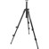 Manfrotto 190XDB 3 Section Black Aluminum Tripod with 128RC Micro Fluid Video Head, Maximum Height 62", Supports 8 lbs.: Picture 1 thumbnail