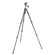 Manfrotto 293 Aluminum 3 Section Tripod with Quick Release 3 Way Head, Max Height 61", Supports 8 lbs.: Picture 1 thumbnail