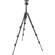 Manfrotto 293: Picture 5 thumbnail