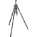Manfrotto 458B Neotec Black Tripod Legs Kit, with Adorama Tripod Case, Double Bubble Level, Tripod Hanger: Picture 1 thumbnail