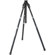 Manfrotto 458B Neotec Black Tripod Legs (Height 3.9-61.4", Maximum Load 17.60 lbs): Picture 2 thumbnail
