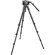 undefined undefined: Picture 1 regular