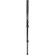 Manfrotto 681B Pro Monopod: Picture 3 thumbnail