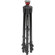 Manfrotto 755XB: Picture 2 thumbnail