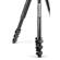 Manfrotto Befree Lever: Picture 9 thumbnail