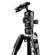 Manfrotto Befree Twist: Picture 5 thumbnail