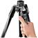 Manfrotto Befree Twist: Picture 8 thumbnail