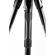 Manfrotto Befree Twist: Picture 10 thumbnail
