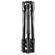 Manfrotto Befree 2N1: Picture 6 thumbnail