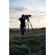 Manfrotto Nitrotech 608 w/635: Picture 7 thumbnail