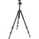 Manfrotto MK294A3A0RC2: Picture 1 thumbnail