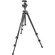 Manfrotto 294 Carbon Fiber Tripod: Picture 1 thumbnail