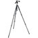 Manfrotto 294 Aluminum 3 Section Tripod with 3 Way Photo/Video Head - Bundle - with Manfrotto Tapered Tripod Bag #MBAG70N: Picture 2 thumbnail