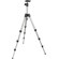 Manfrotto 394 Aluminum 4 Section Tripod with Quick Release Ball Head, Max Height 56", Supports 7 lbs., Gray: Picture 1 thumbnail