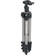 Manfrotto 394 Aluminum 4 Section Tripod with Quick Release Ball Head, Max Height 56", Supports 7 lbs., Gray: Picture 2 thumbnail