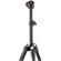 Manfrotto Befree One: Picture 6 thumbnail
