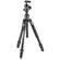 Manfrotto Befree GT XPRO: Picture 1 thumbnail