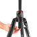 Manfrotto Befree GT XPRO: Picture 7 thumbnail