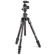 Manfrotto Befree GT XPRO: Picture 1 thumbnail