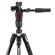 Manfrotto Befree 3-Way Live: Picture 7 thumbnail