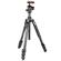 Manfrotto Befree Advanced SE 4-Section Al Travel Tripod w/494 Center Ball Head