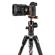 Manfrotto Befree SE: Picture 6 thumbnail