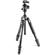 Manfrotto Befree GT: Picture 1 thumbnail
