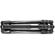 Manfrotto Befree GT: Picture 4 thumbnail