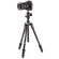 Manfrotto Befree Advanced: Picture 10 thumbnail