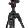 Manfrotto Befree Advanced AS Twist: Picture 14 thumbnail