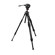 Manfrotto 500X WITH ONE TRIPOD: Picture 4 thumbnail