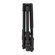 Manfrotto Befree GT PRO: Picture 2 thumbnail