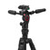 Manfrotto Befree GT PRO: Picture 6 thumbnail