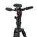 Manfrotto Befree GT PRO: Picture 6 thumbnail