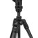 Manfrotto Befree GT PRO: Picture 7 thumbnail