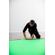 Manfrotto FX Background Kit: Picture 18 thumbnail