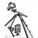 Manfrotto 055: Picture 5 thumbnail