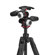 Manfrotto Befree GT PRO: Picture 13 thumbnail