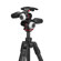 Manfrotto Befree GT PRO: Picture 13 thumbnail
